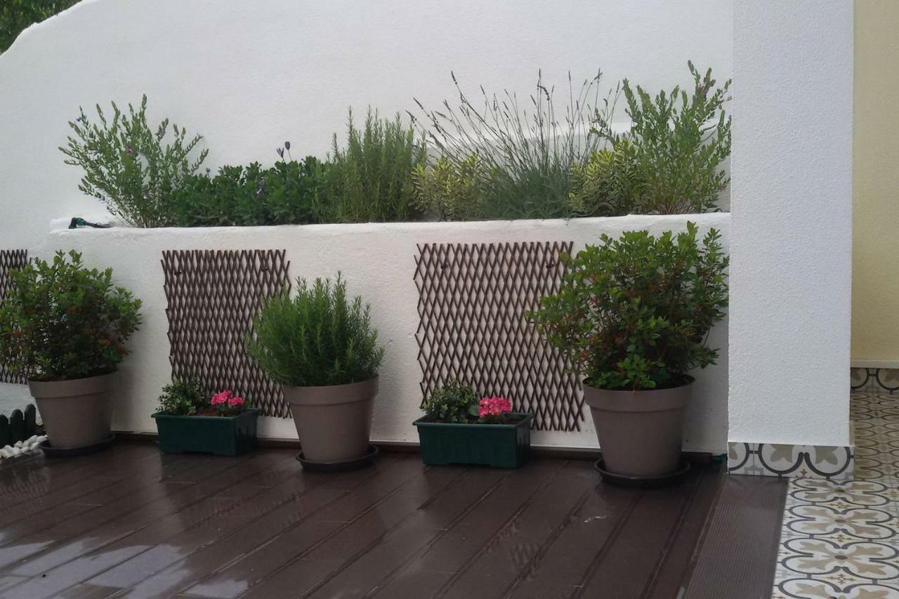 Sunny Orange Garden Apartment In Central Lisabona Exterior foto