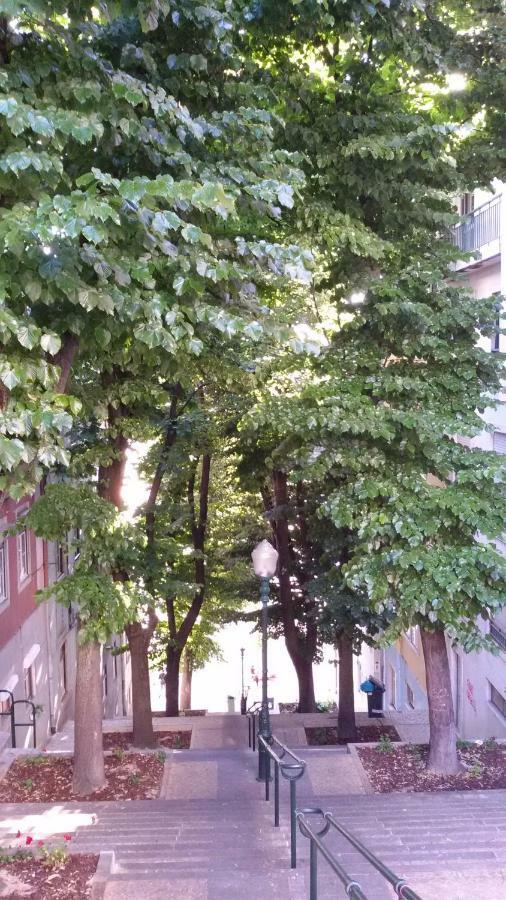 Sunny Orange Garden Apartment In Central Lisabona Exterior foto