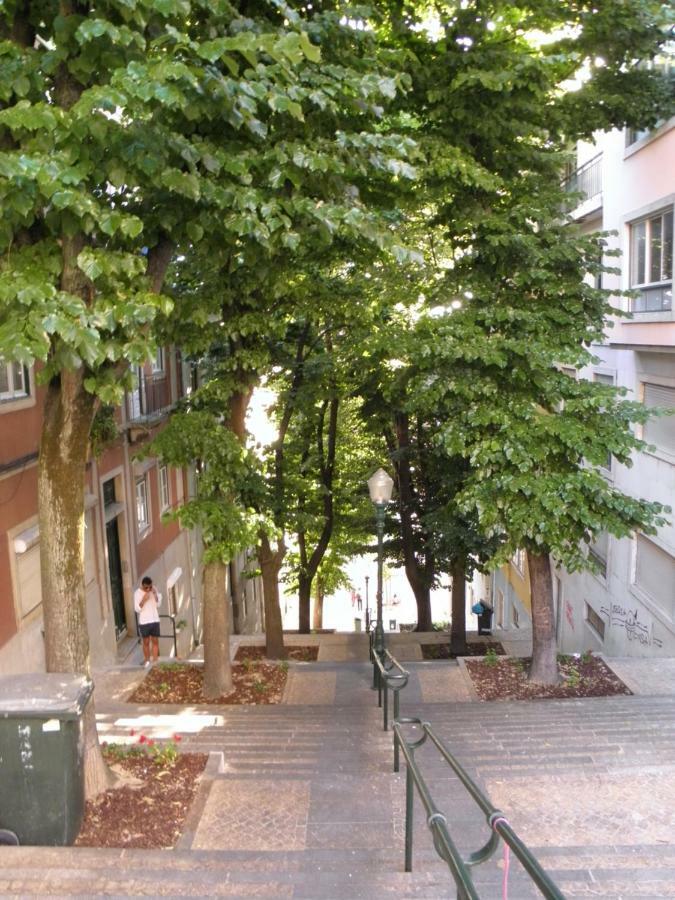 Sunny Orange Garden Apartment In Central Lisabona Exterior foto